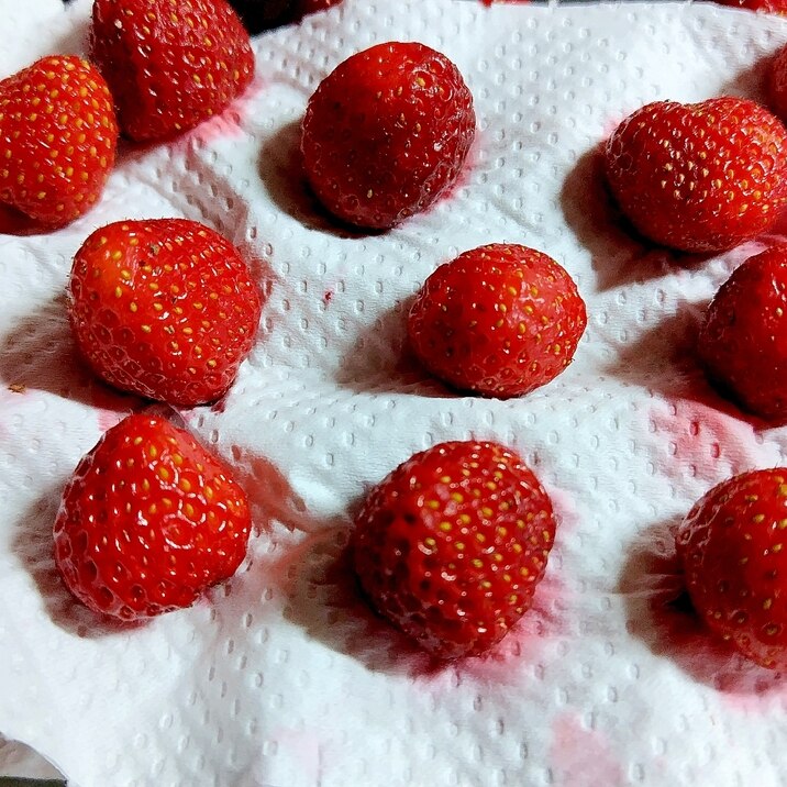 いちごの保存の仕方!